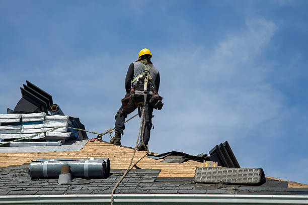Professional Gutter Installation technician working in Lake Panasoffkee, FL